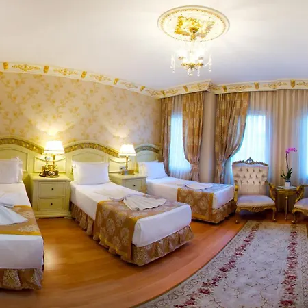 酒店 伊斯坦布尔白宫酒店 4*