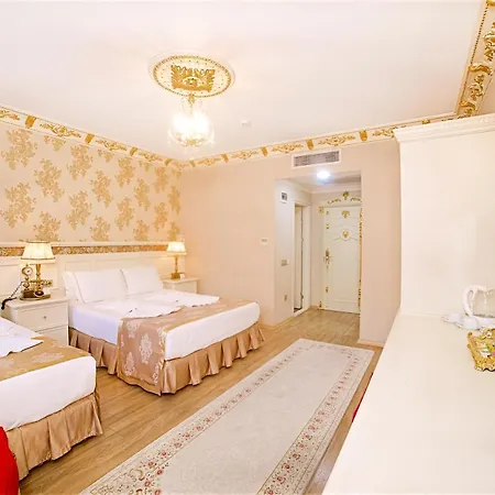 酒店 伊斯坦布尔白宫酒店 4*