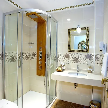 伊斯坦布尔白宫酒店 酒店 4*