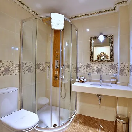 酒店 伊斯坦布尔白宫酒店